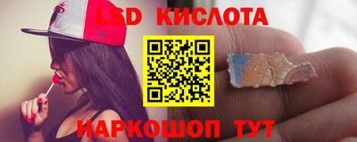 apvp Гатчина