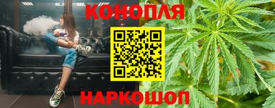 apvp Гатчина