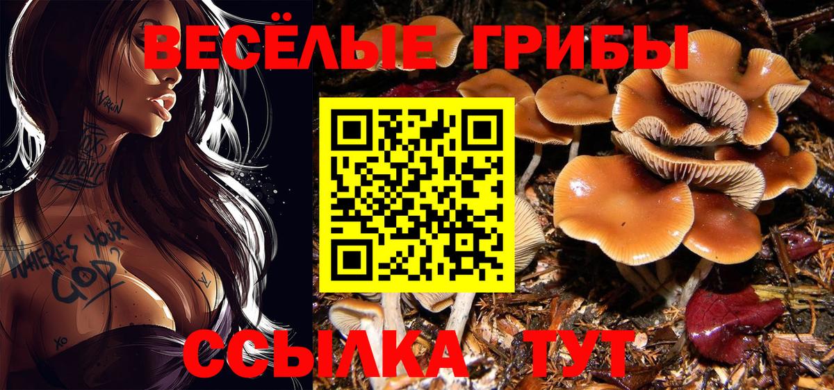 Галлюциногенные грибы MAGIC MUSHROOMS  Вход с VPN  Киржач 